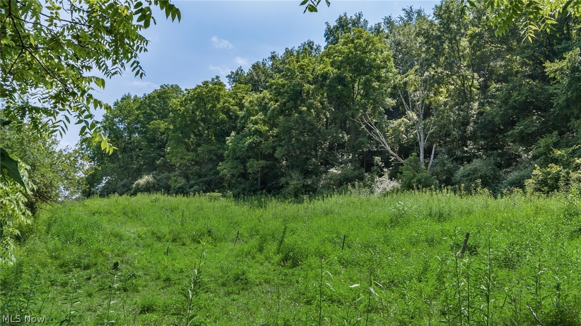 3200 Woodyard Road Stockport OH 43787
