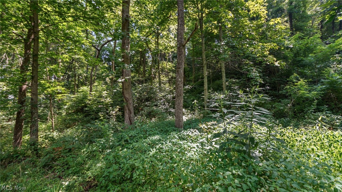 3200 Woodyard Road Stockport OH 43787