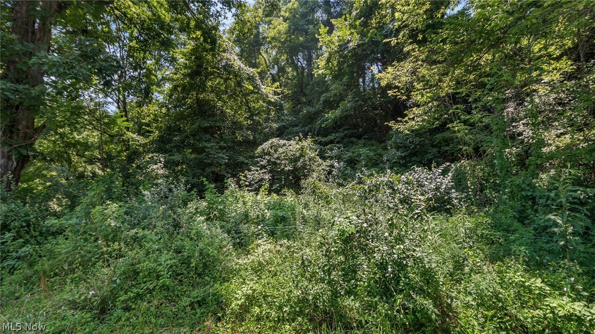 3200 Woodyard Road Stockport OH 43787