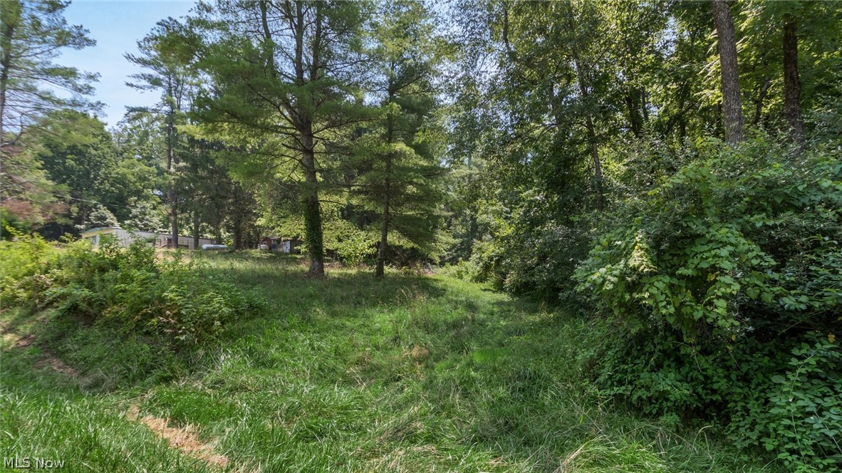 3200 Woodyard Road Stockport OH 43787