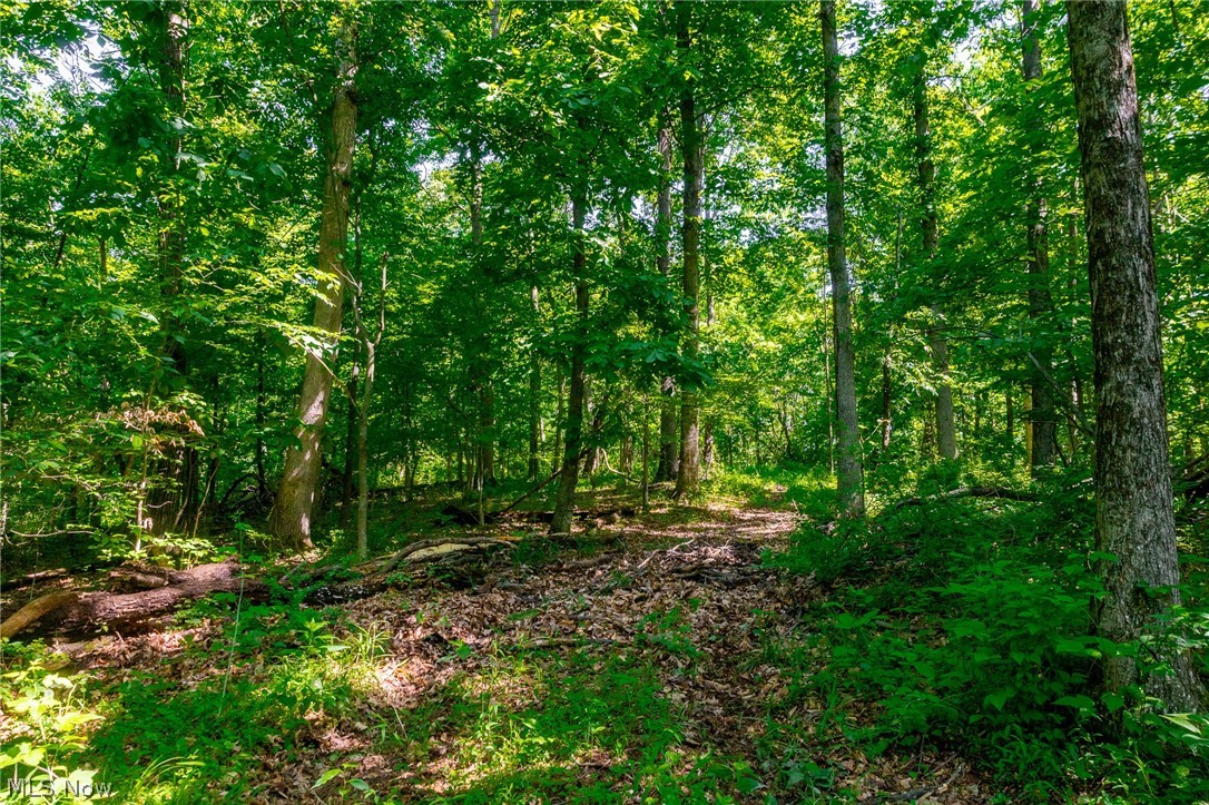 5568 Schoolhouse Road Frazeysburg OH 43822