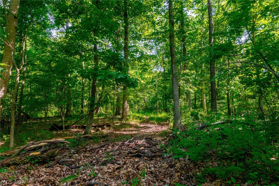 5568 Schoolhouse Road Frazeysburg OH 43822
