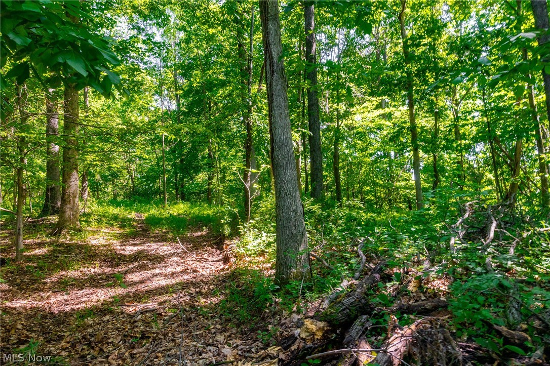 5568 Schoolhouse Road Frazeysburg OH 43822