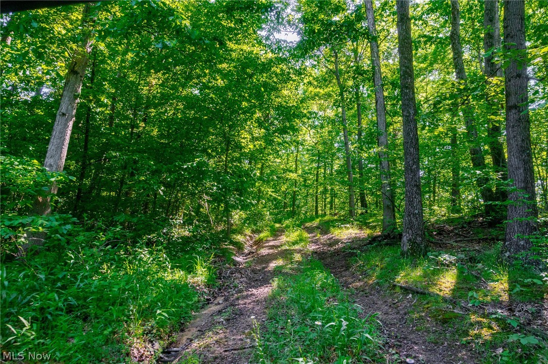 5568 Schoolhouse Road Frazeysburg OH 43822