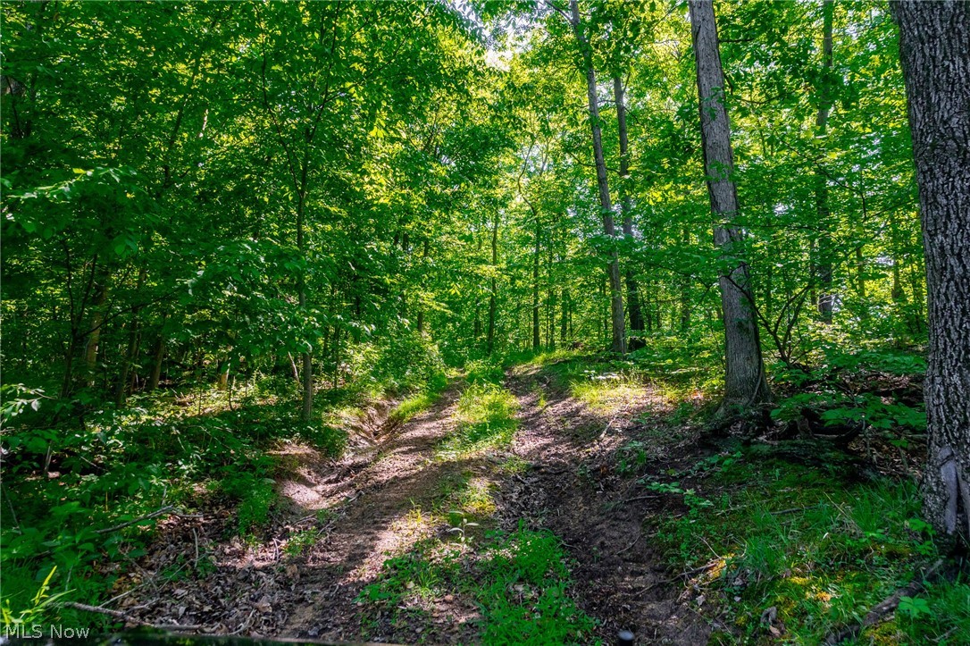 5568 Schoolhouse Road Frazeysburg OH 43822