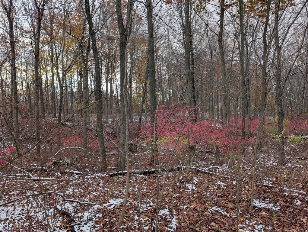 Greenwich Road Lodi OH 44254