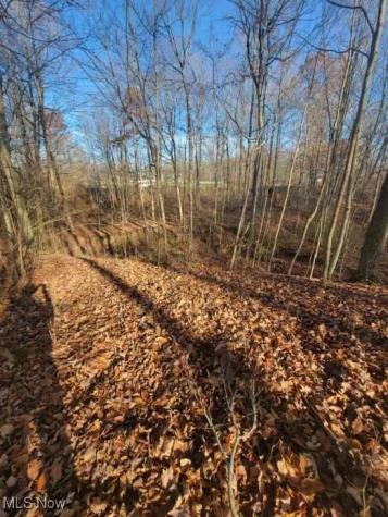 Greenwich Road Lodi OH 44254