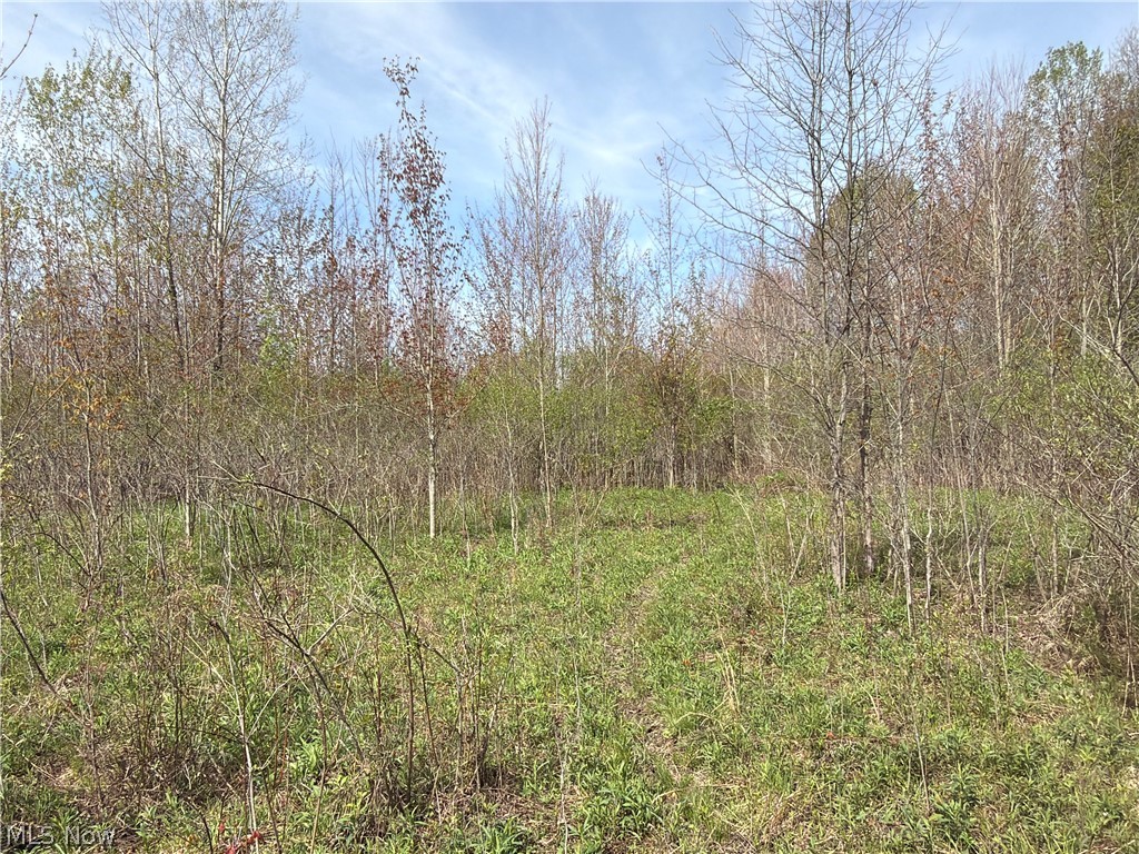 OH-7 Williamsfield OH 44082