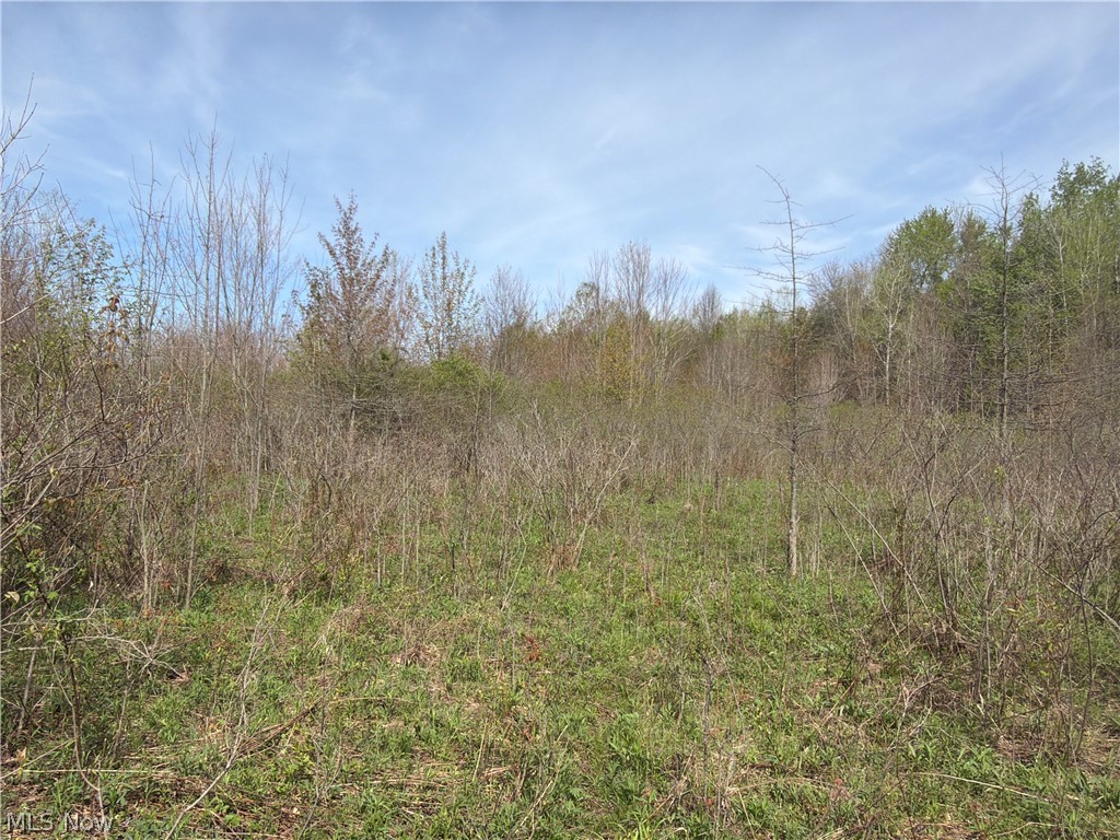 OH-7 Williamsfield OH 44082