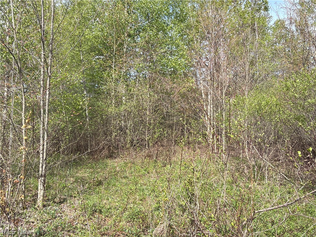 OH-7 Williamsfield OH 44082