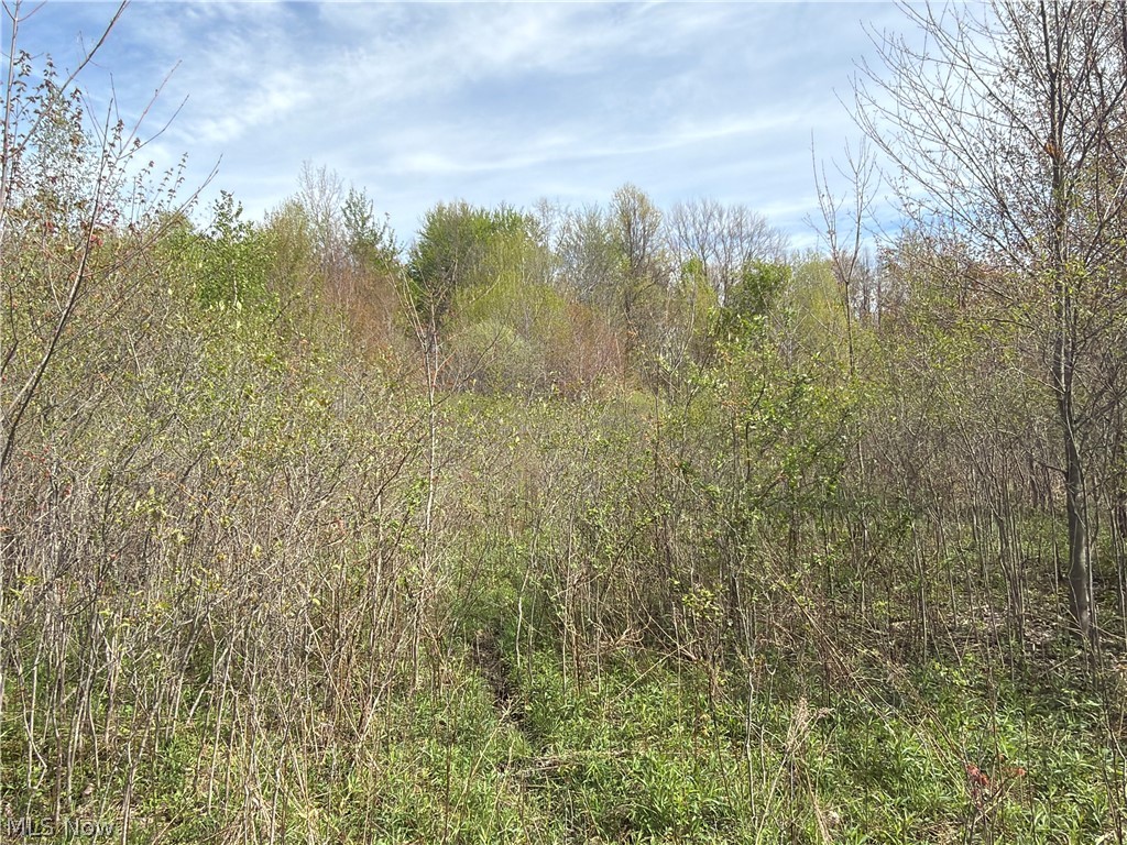 OH-7 Williamsfield OH 44082