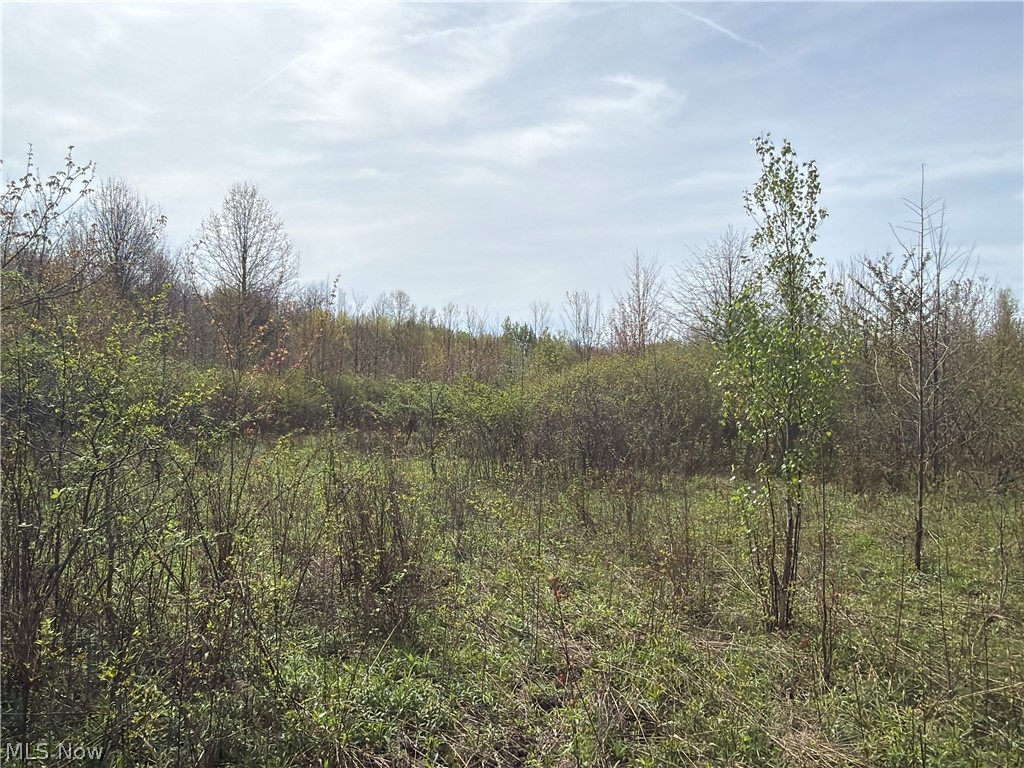 OH-7 Williamsfield OH 44082