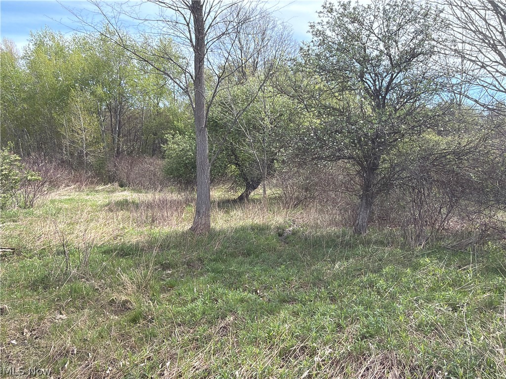 OH-7 Williamsfield OH 44082