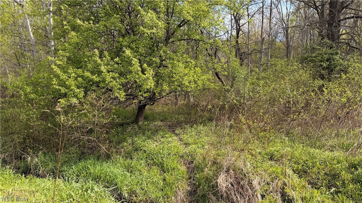 OH-7 Williamsfield OH 44082