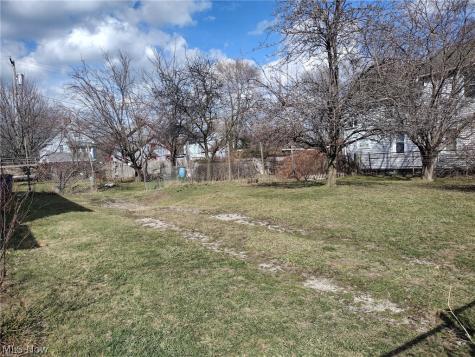 Vega Avenue Cleveland OH 44113