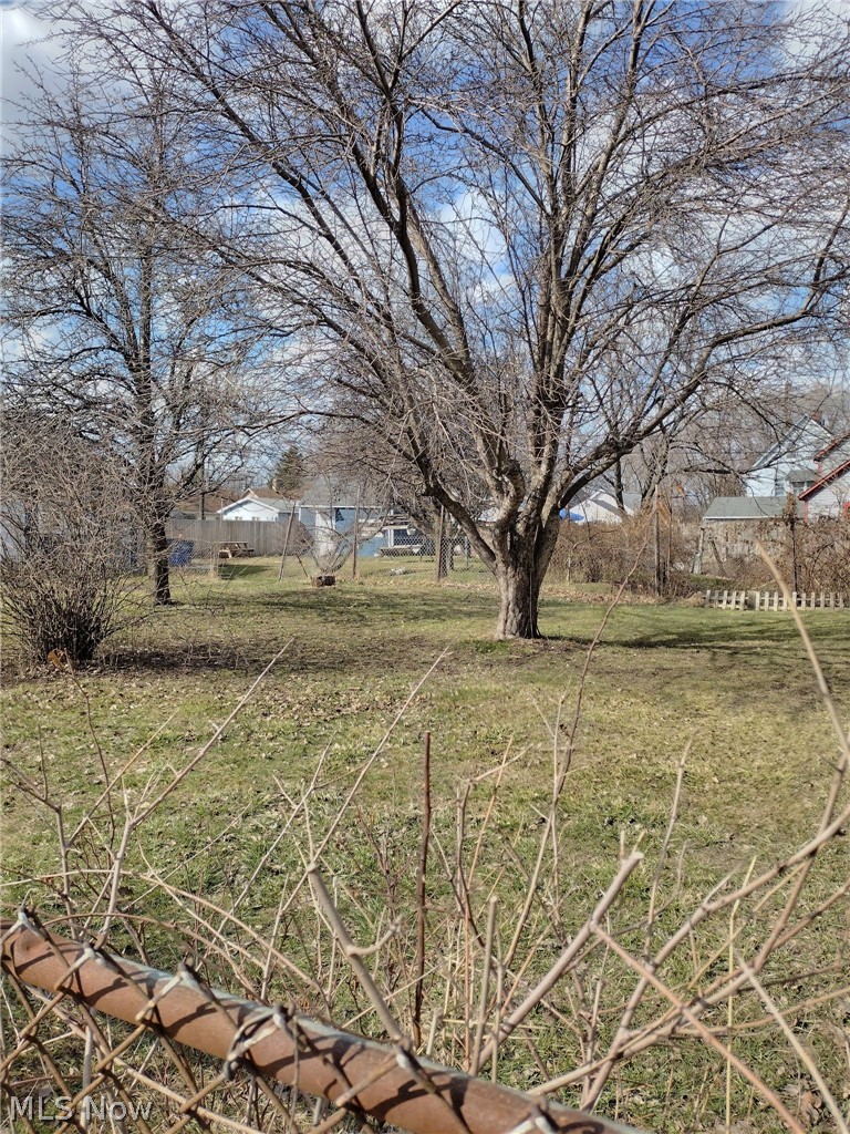 Vega Avenue Cleveland OH 44113