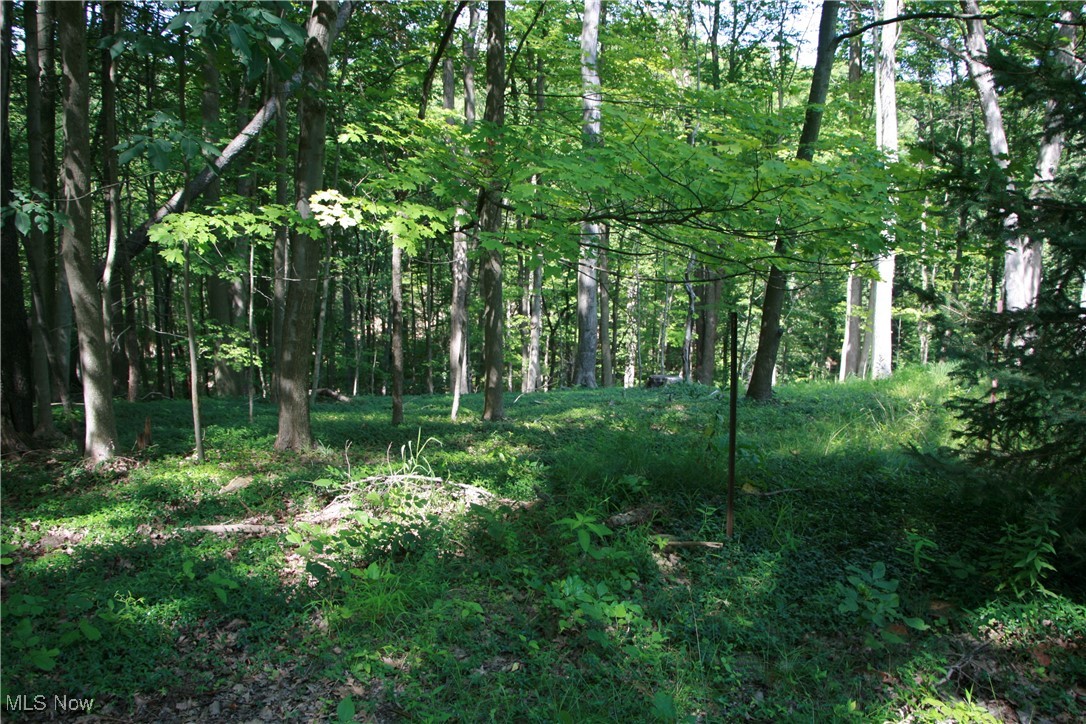 3995 Som Center Road Moreland Hills OH 44022