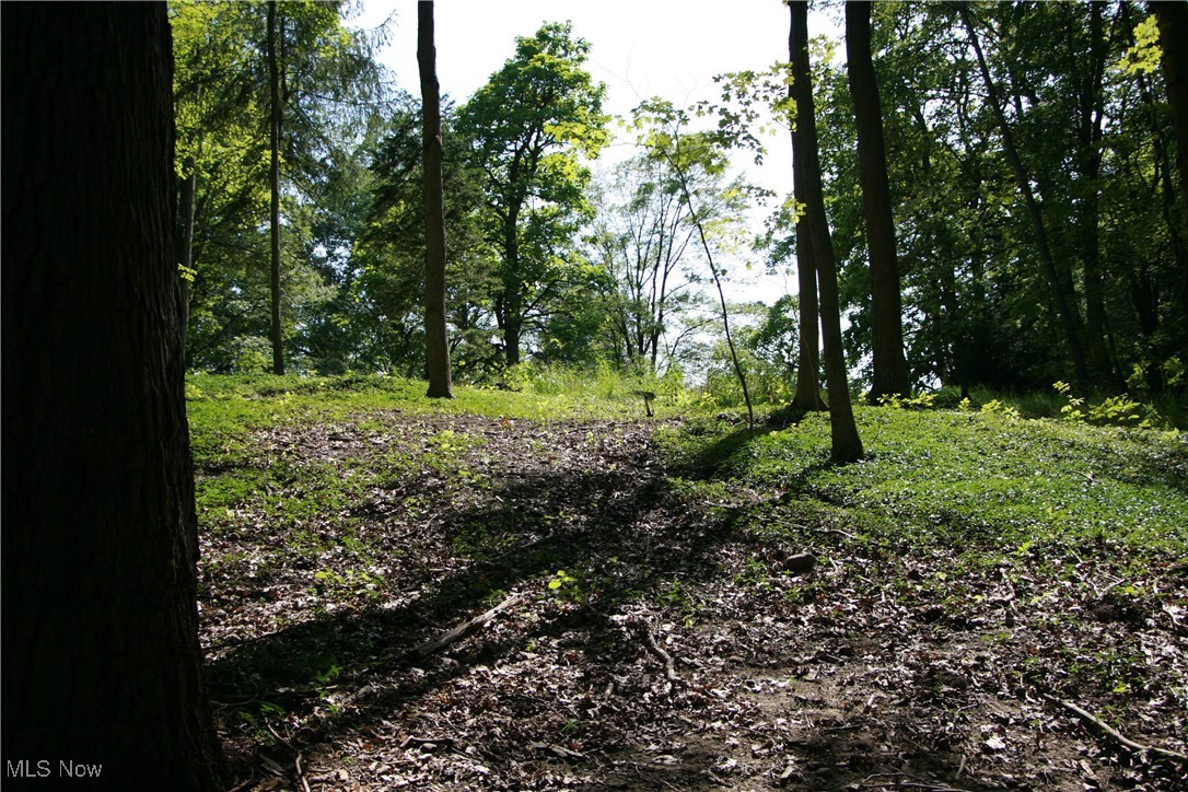 3995 Som Center Road Moreland Hills OH 44022