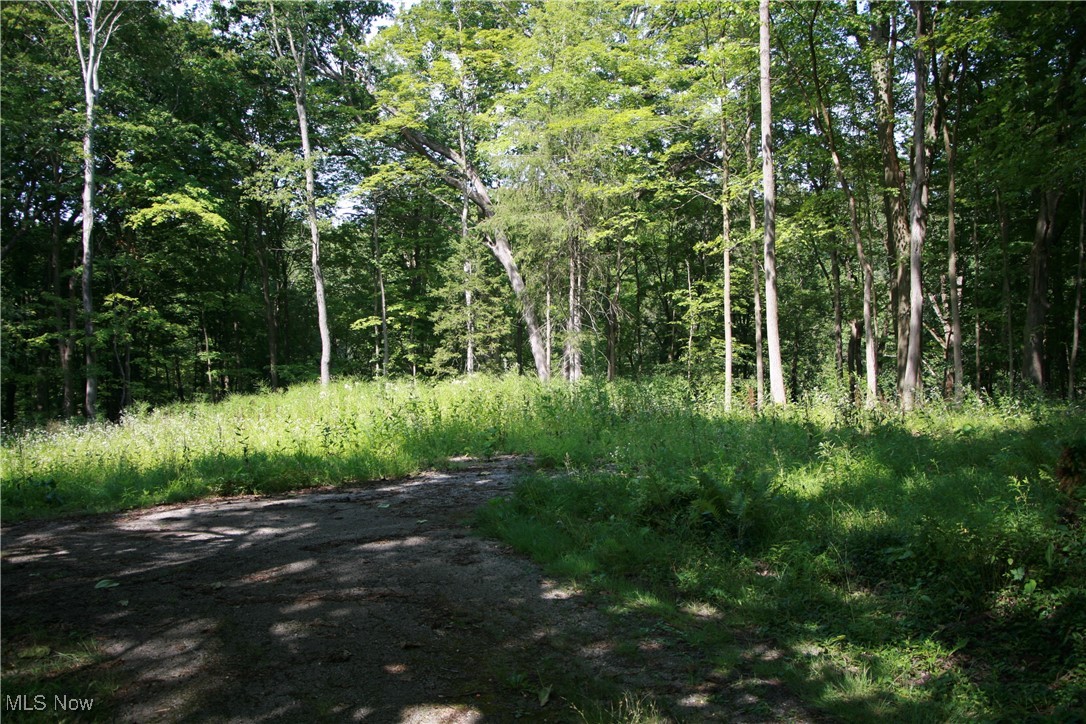 3995 Som Center Road Moreland Hills OH 44022