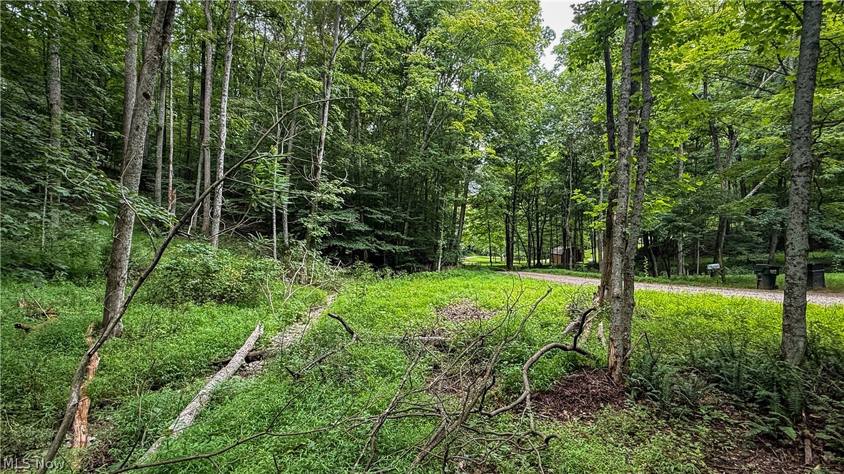 25484 Township Road 111 Warsaw OH 43844