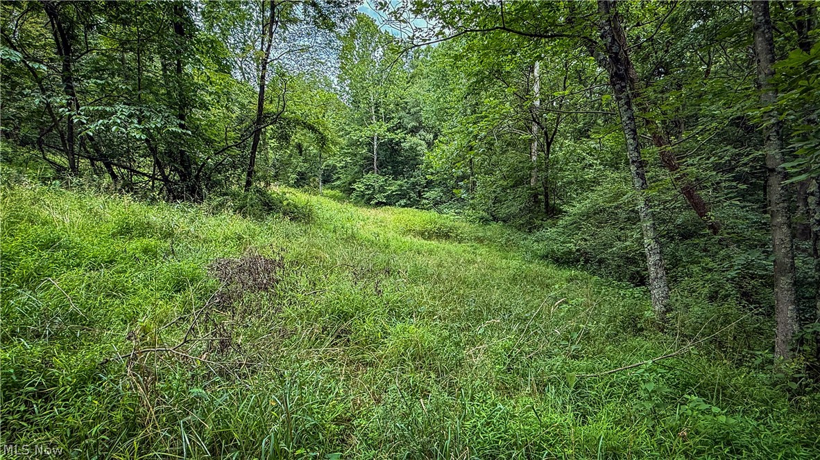 25484 Township Road 111 Warsaw OH 43844