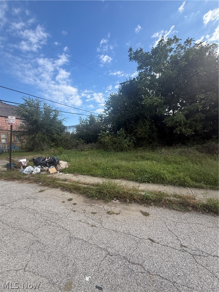2103 E 81st Street Cleveland OH 44103