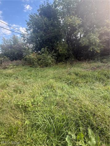 2103 E 81st Street Cleveland OH 44103