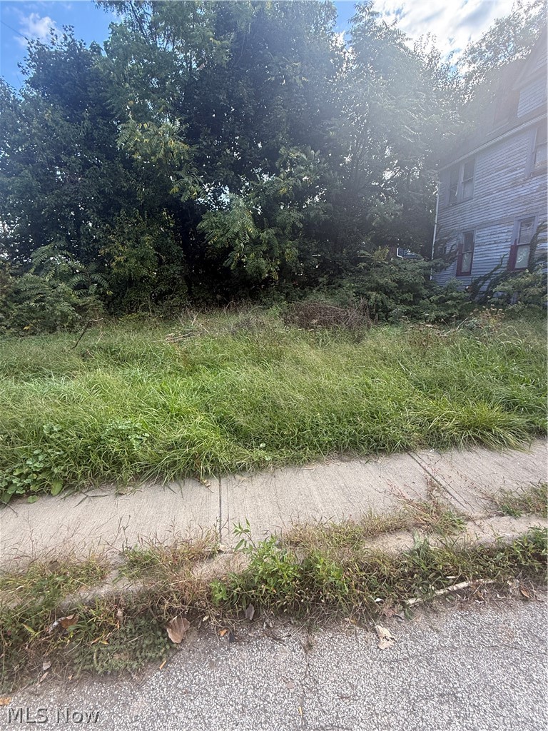 2103 E 81st Street Cleveland OH 44103