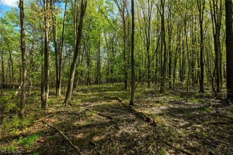 Oyster Road North Benton OH 44449
