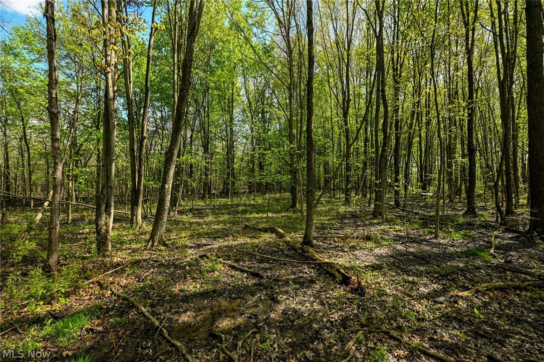 Oyster Road North Benton OH 44449