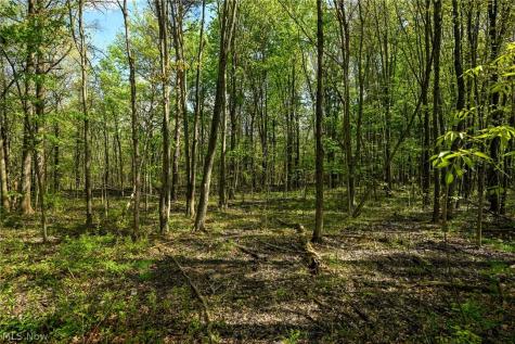 Oyster Road North Benton OH 44449