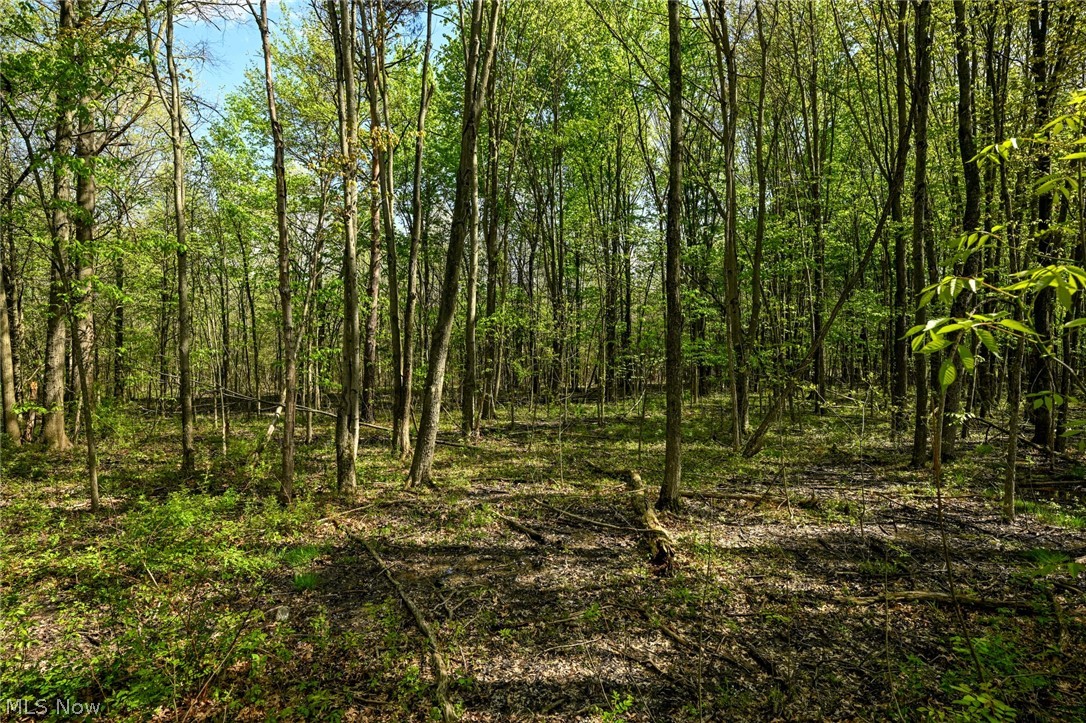 Oyster Road North Benton OH 44449