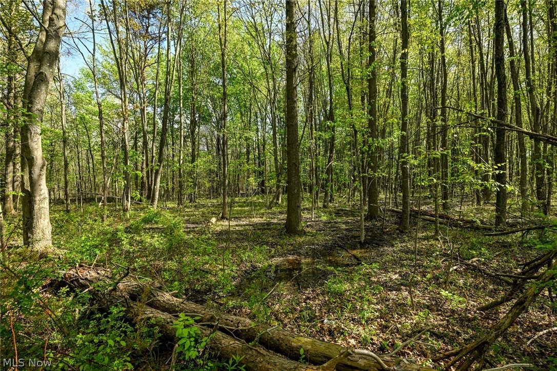 Oyster Road North Benton OH 44449
