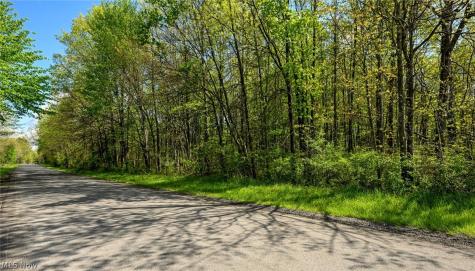 Oyster Road North Benton OH 44449