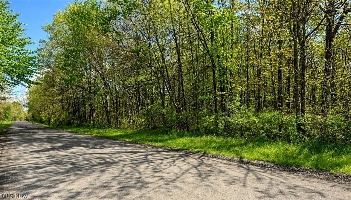 Oyster Road North Benton OH 44449
