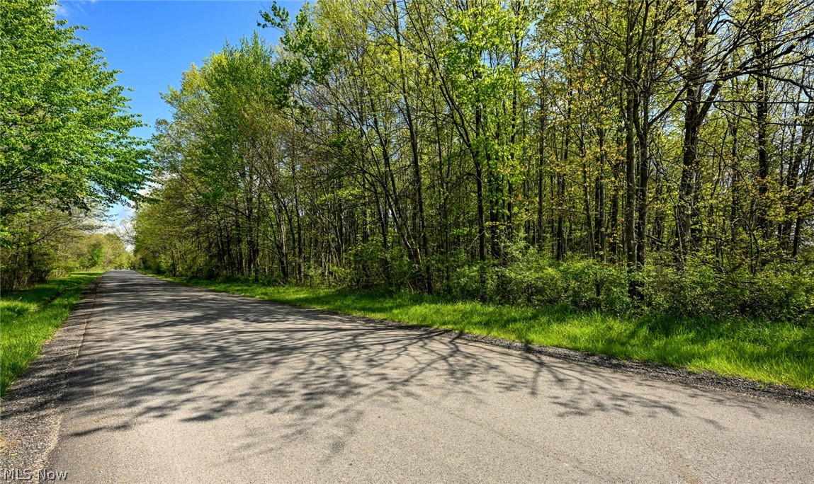 Oyster Road North Benton OH 44449