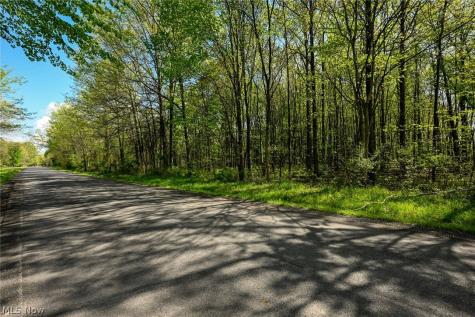Oyster Road North Benton OH 44449