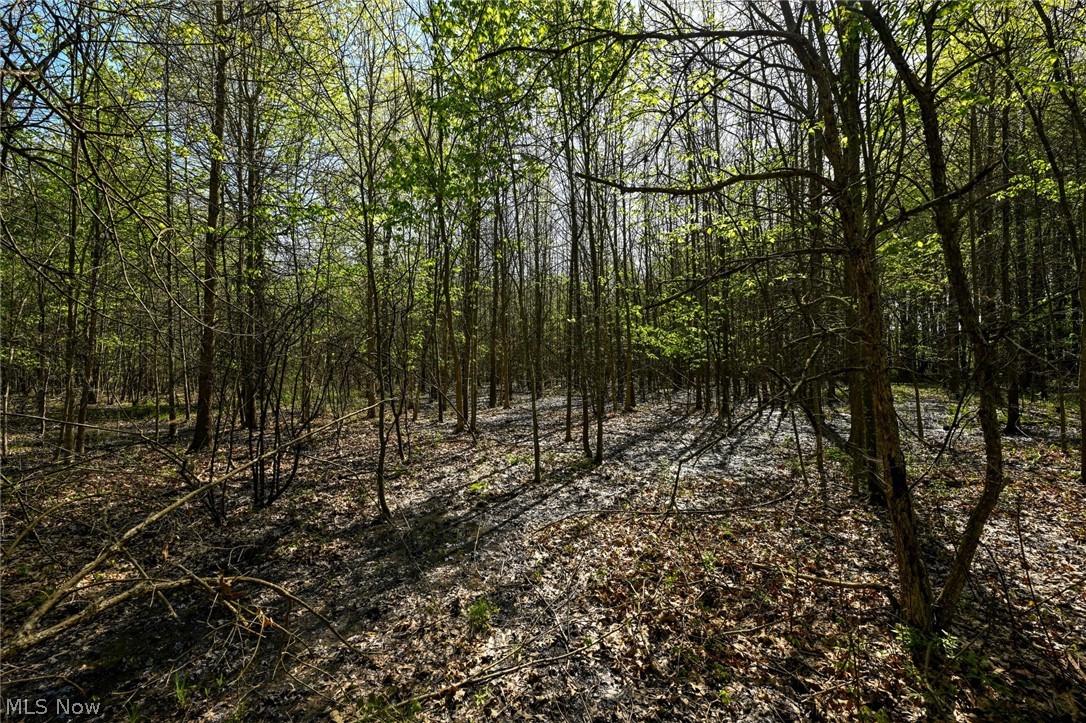 Oyster Road North Benton OH 44449
