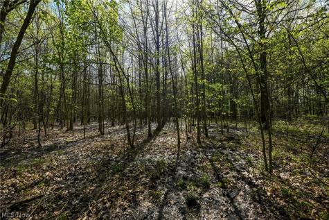 Oyster Road North Benton OH 44449