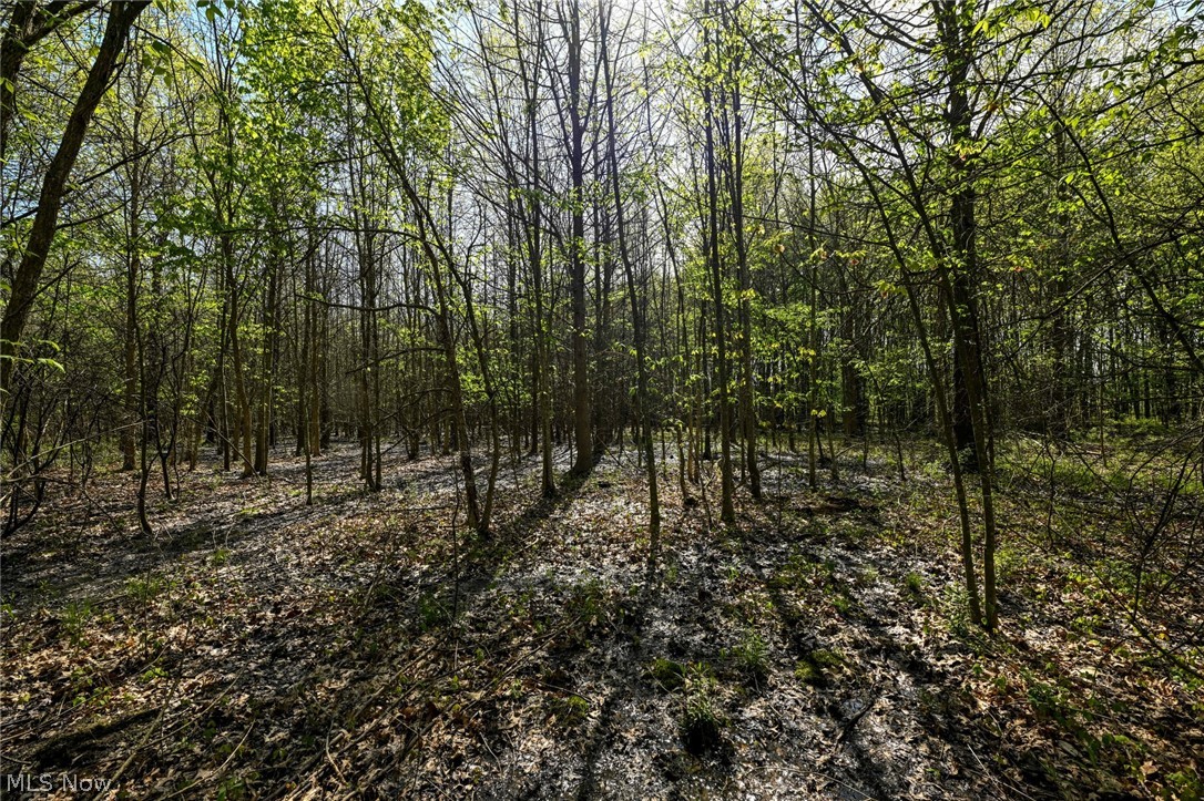 Oyster Road North Benton OH 44449