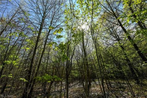 Oyster Road North Benton OH 44449