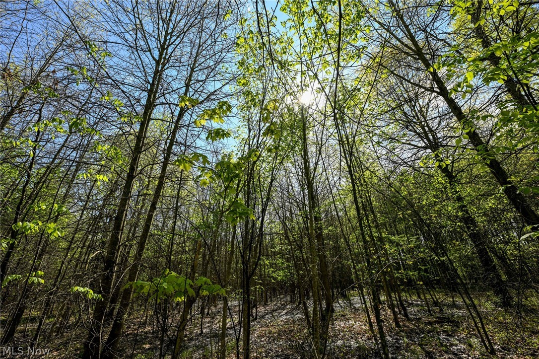Oyster Road North Benton OH 44449