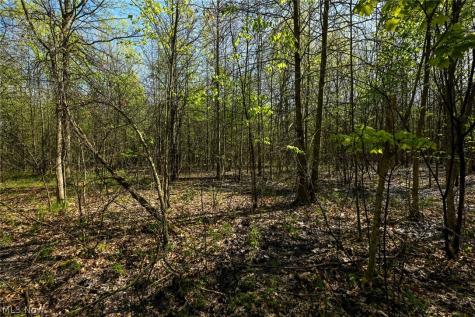 Oyster Road North Benton OH 44449