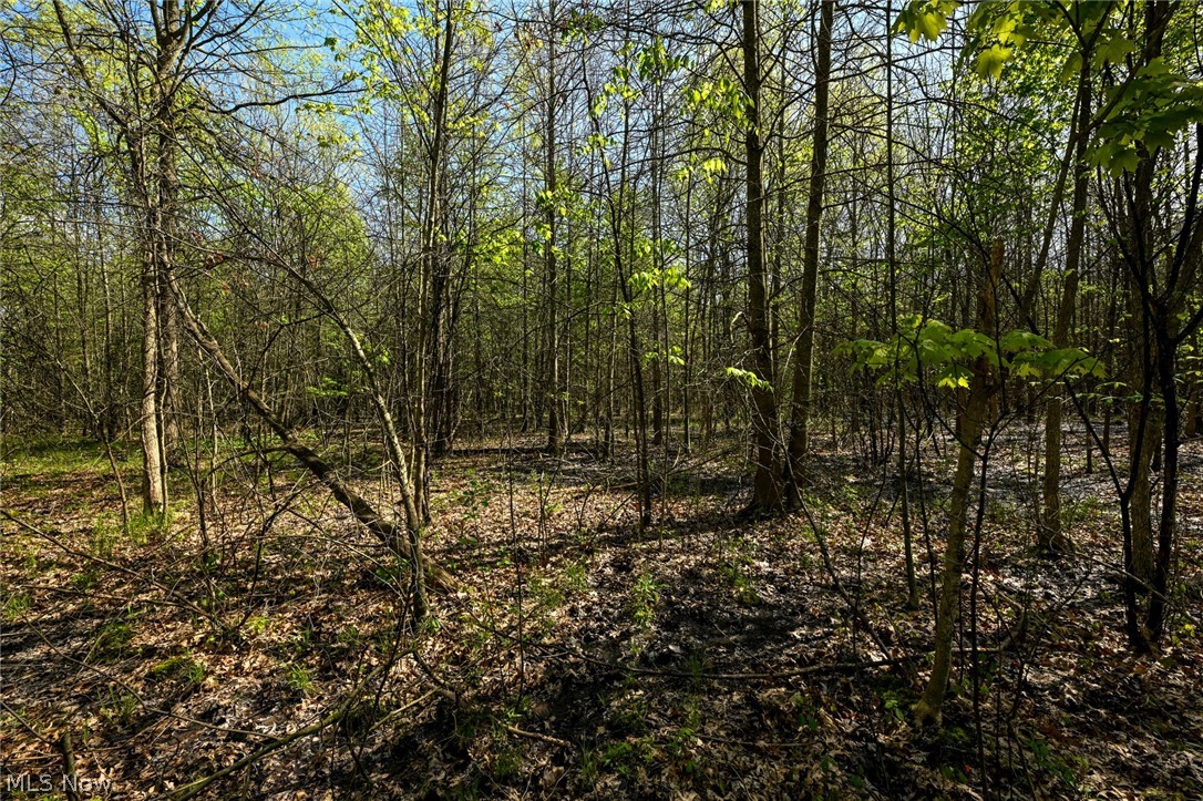 Oyster Road North Benton OH 44449