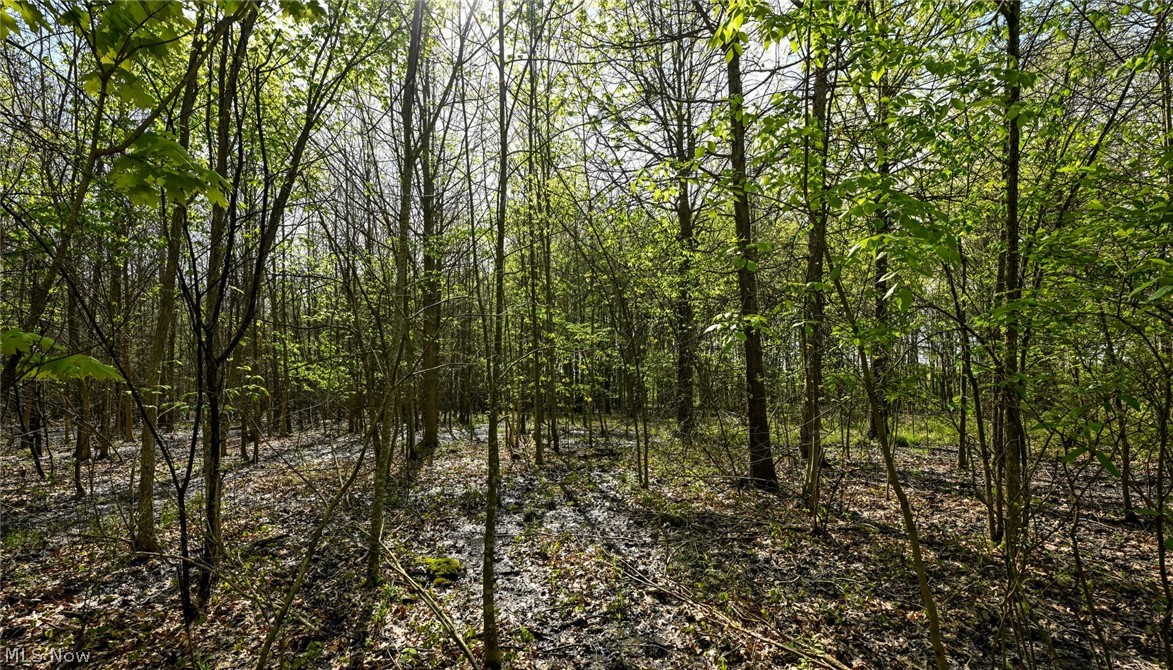 Oyster Road North Benton OH 44449