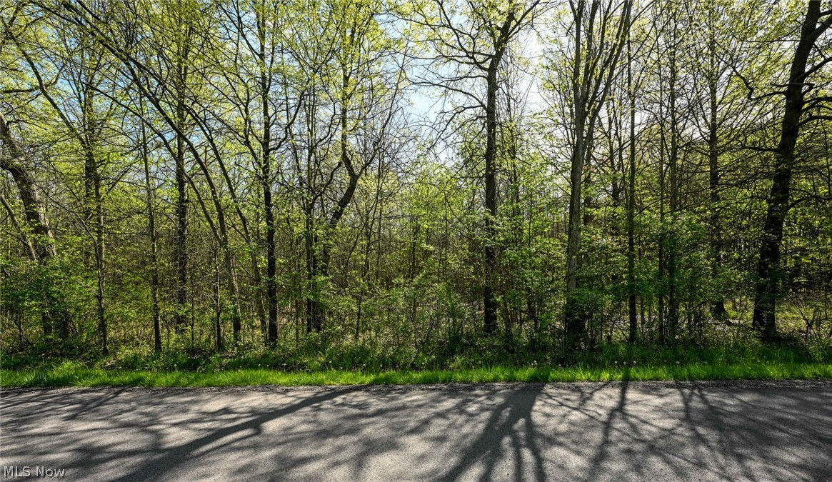 Oyster Road North Benton OH 44449