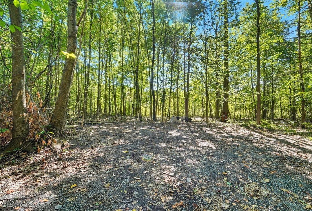 2924 Linton Road Jefferson OH 44047