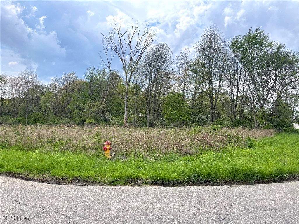 Lot# 1 Candell Street SE Massillon OH 44646