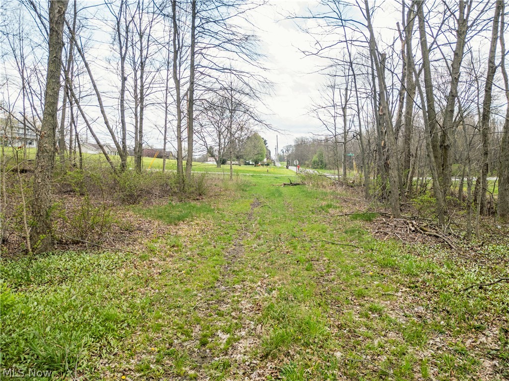 Steiner Road Creston OH 44217