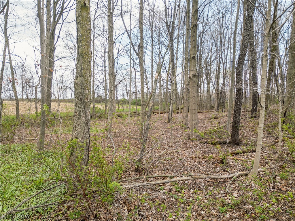 Steiner Road Creston OH 44217